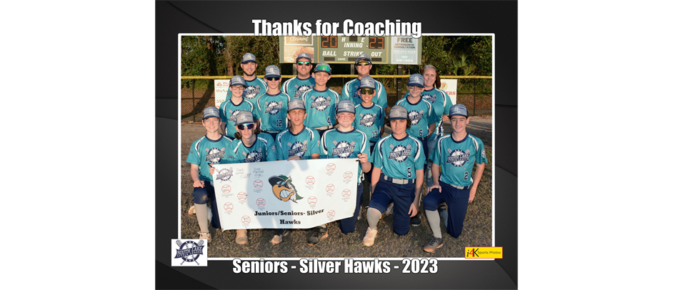 Seniors Top Team- Silver Hawks